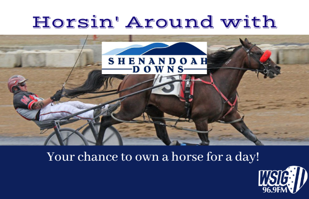 “Own a Horse for a Day” at Shenandoah Downs!