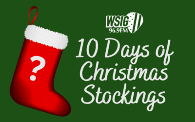 10 Days of Christmas Stockings